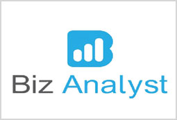 Biz-Analyst